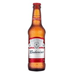 Cerveja Budweiser 330ML